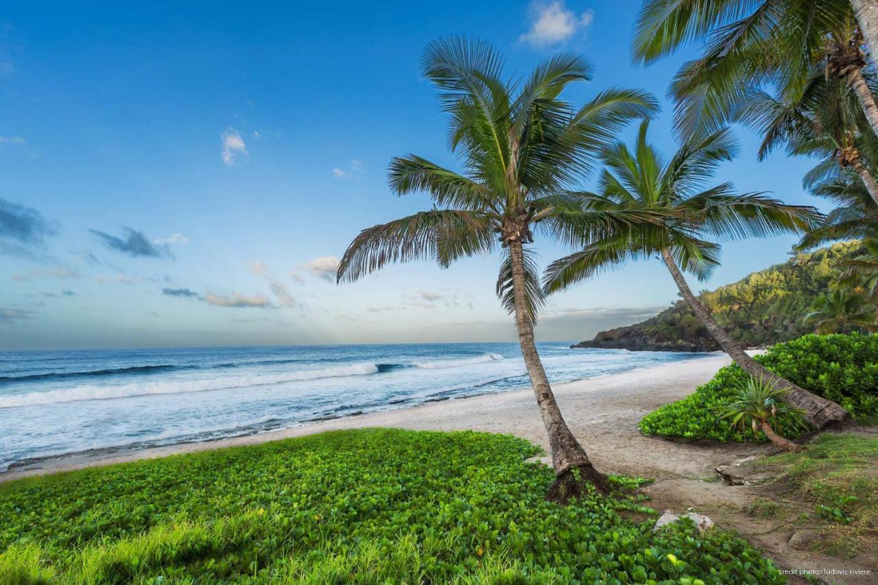 T2 Cosy A 100M De La Plage, Saint-Pierre, Luma Appart Экстерьер фото
